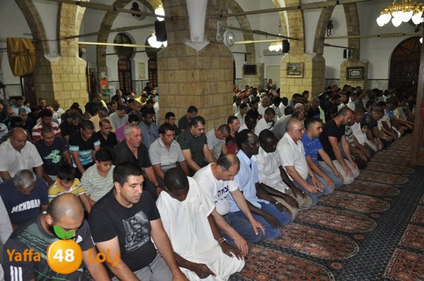 trawe7 7san bek 715 (32).JPG